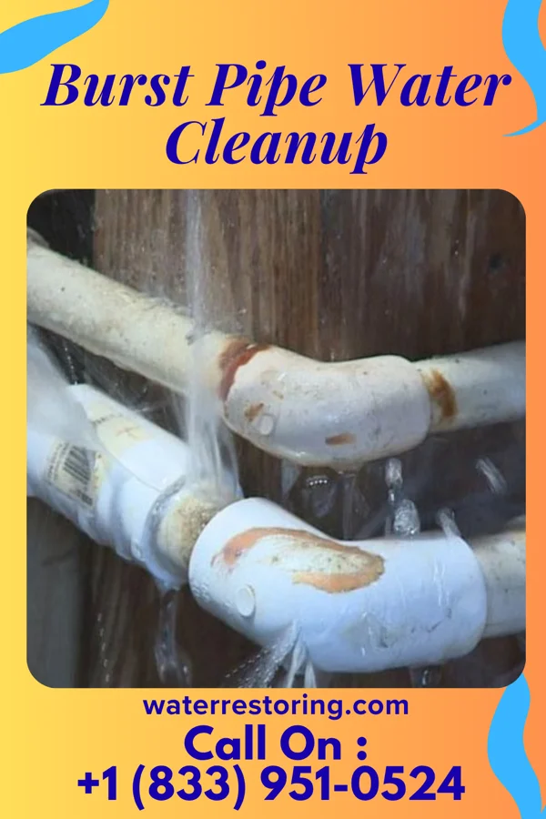 Burst Pipe Water Cleanup in White Island Shores, MA
