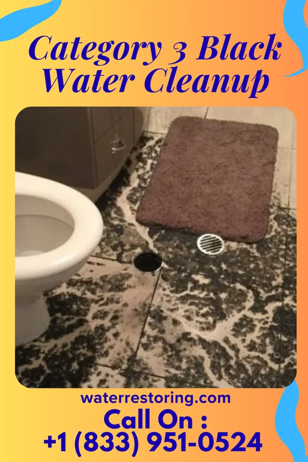 Category 3 Black Water Cleanup in White Island Shores, MA