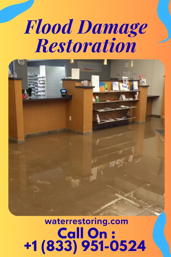 Flood Damage Restoration in White Island Shores, MA
