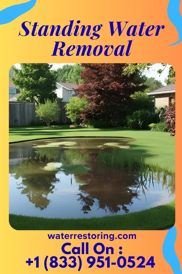 Standing Water Removal in White Island Shores, MA